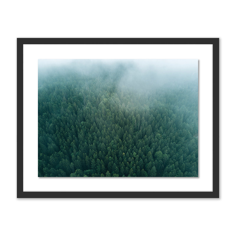 Fog Print by Michael Schauer, Black, 19" H x 24" W x 1.5" D