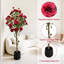 Arrangement-1838050009