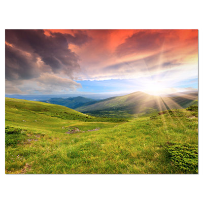 " Green Summer In Carpathians "