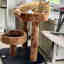 Customer photo 2 of 2