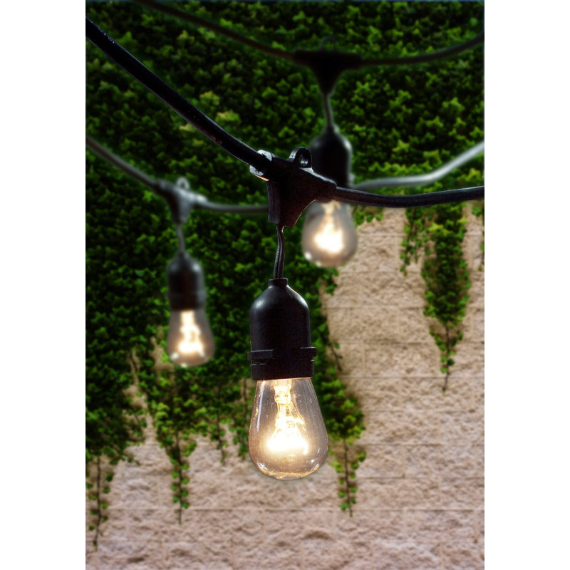 Jothan 48-ft Outdoor 15 - Bulb Standard String Light (End to End Connectable)