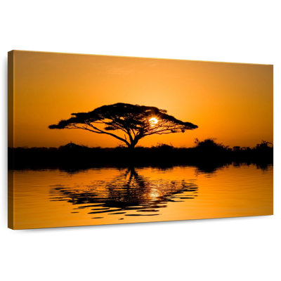 Acacia Harnek Amboseli