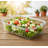 Clear, 35 Oz, Glass Storage Boxes, 5-Pack, With Snap-Lock Lid, Microwave, Oven, Refrigerator, And Dishwasher Safe.