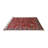 Oriental Indoor Rug-1496182653