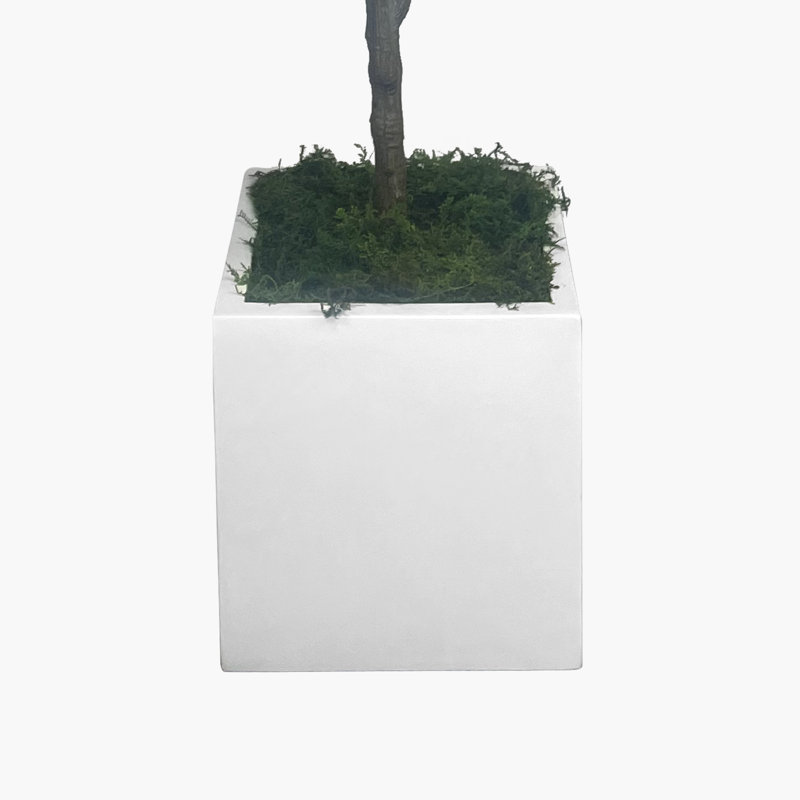 3.5' Faux Fiddle Tree in Fiberstone Planter