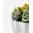 Functional Beauty Pleated Ceramic Succulent Arrangement