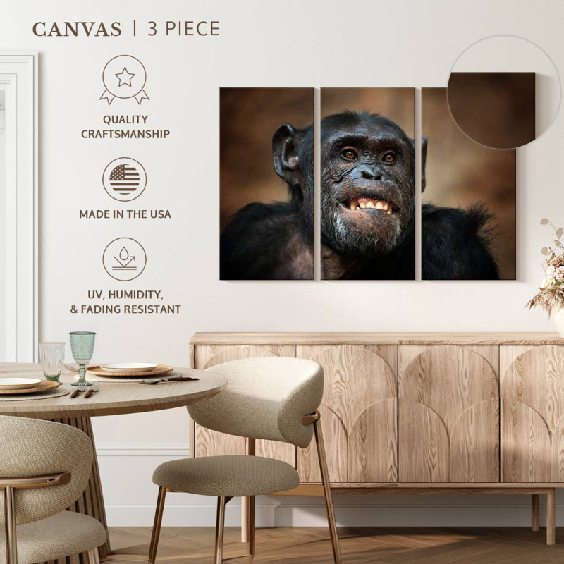 Funny Chimpanzee