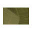 Oriental Area Rug in Green