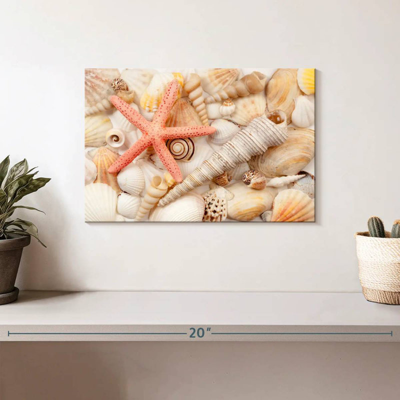 Aletra Seashell Pile, 8" H x 12" W
