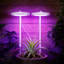 Veilleuse à DEL anneau de croissance pour plantes USB pour plantes d'intérieur pour plantes grasses pour plantes de bureau-132011658