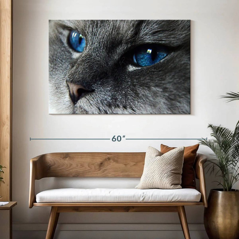 Brampt Cat Blue Eyes, 32" H x 48" W