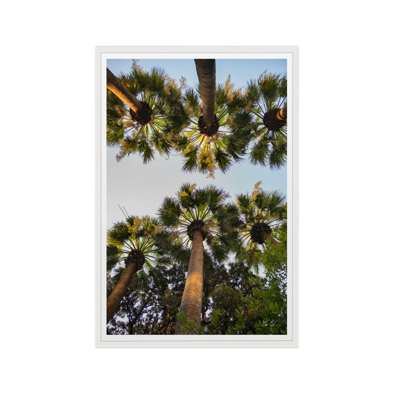 Athènes Palm II, H 52,75 po x l 35,5 po x P 1,5 po, Lustre photo encadré, Cadre blanc