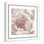 Intime rosé II - photographie-60493310-60493306