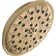 Rain Dual Shower Head with H2Okinetic Technology