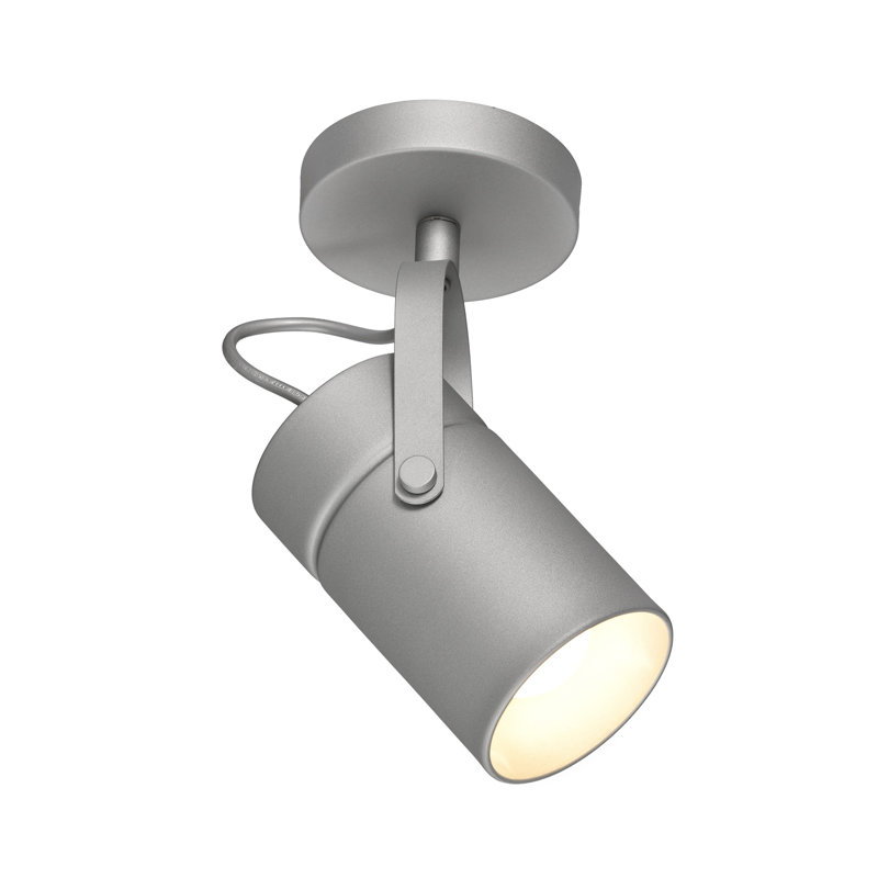 Aruba Spotlight, Silver