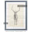 « elk study » par paul cezanne-photo-cadre, reproduction d’art-24364742-24364743