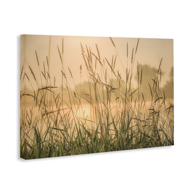 Grassy Country Reeds Canvas Wall Art by Marty Hulsebos
