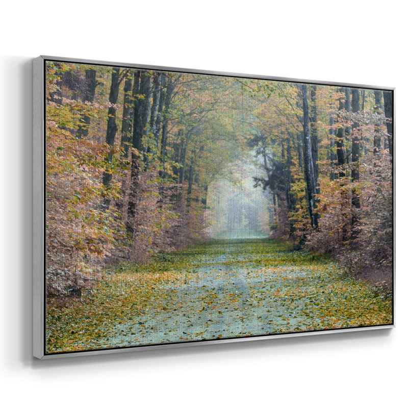 Enchanted Path, reproduction d'art sur toile, H 17 po x l 25 po x P 2 po, Argent