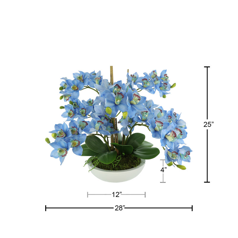 Orchids Arranged in Fiberstone Planter, Blue