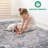 Payas Collection 8 × 10 Traditional Area Rug-2137749862