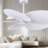 Alessandra - Five Blade Ceiling Fan-880970914-880970973