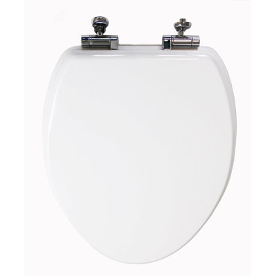 Elongated Toilet Seat and Lid