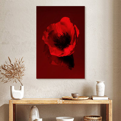 Dark Red Poppy