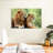 Lion Couple-107472149