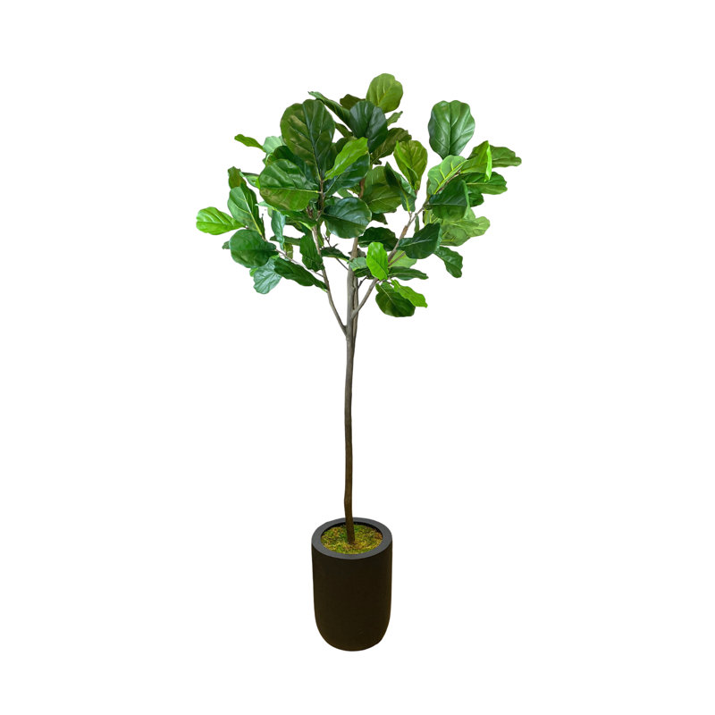 7' Faux Fiddle Leaf Fig Tree