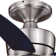 Pelham 44'' Ceiling Fan with LED Lights
