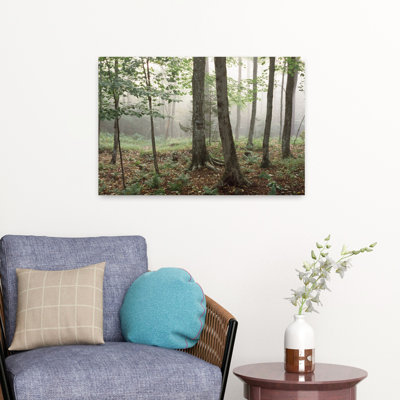 Arbres dans une forêt, vieille forge, montagnes Adirondack, comté de Herkimer, État de New York, États-Unis, art contemporain contemporain, art de la forêt
