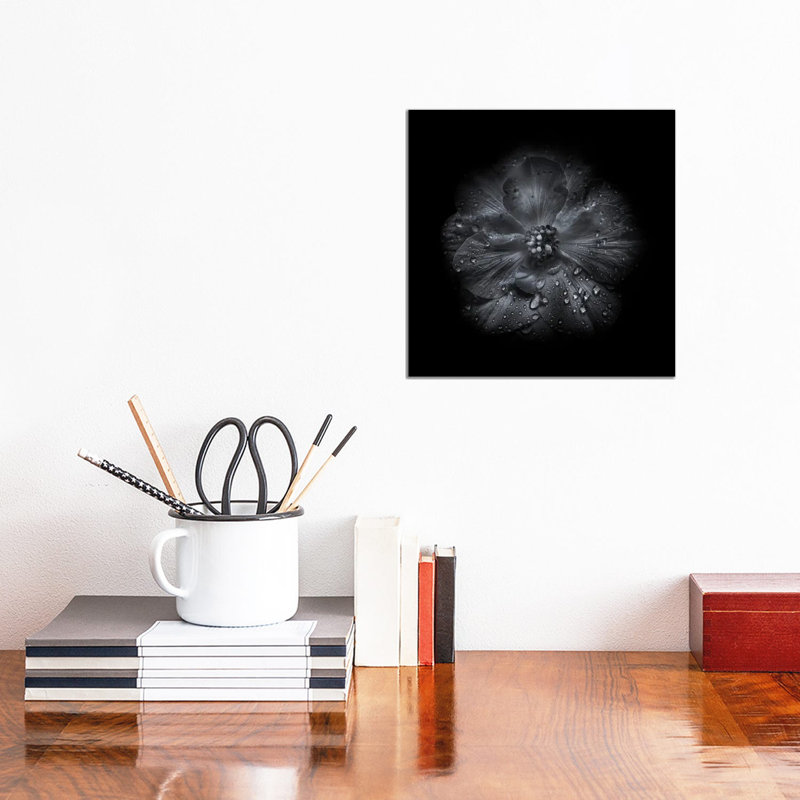 Black And White Petunia III by Brian Carson - Wrapped Canvas Print, 30.48 cm H x 30.48 cm W