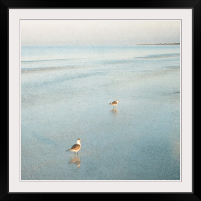 « two oiseaux on beach », reproduction d’art john juracek, H 35 po x l 35 po x p 1,5 po, Toile