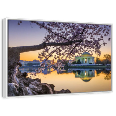 Springtime Washington DC