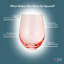 The Wine Savant 6 - Pièce 350