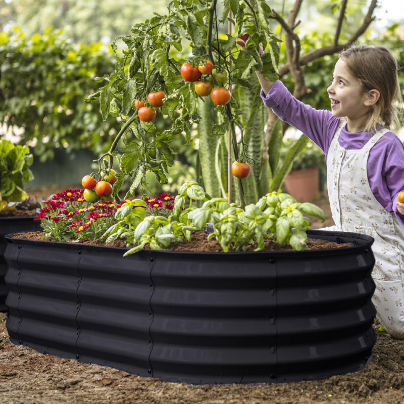 Jardin surélevé galvanisé pour l'extérieur, Noir, noir, noir, noir