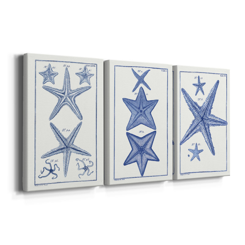 Blue Sea Stars I - Toile tendue avec châssis sur mesure - 3 pièces, H 27 po x l 54 po