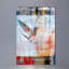 Parvez Taj - Wrapped Canvas Print-12310032