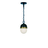 Capsule Brian Patrick Flynn 2-Light Outdoor Pendant