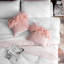 Housse de coussin en plumes-1263361731-1263361758-1228598421