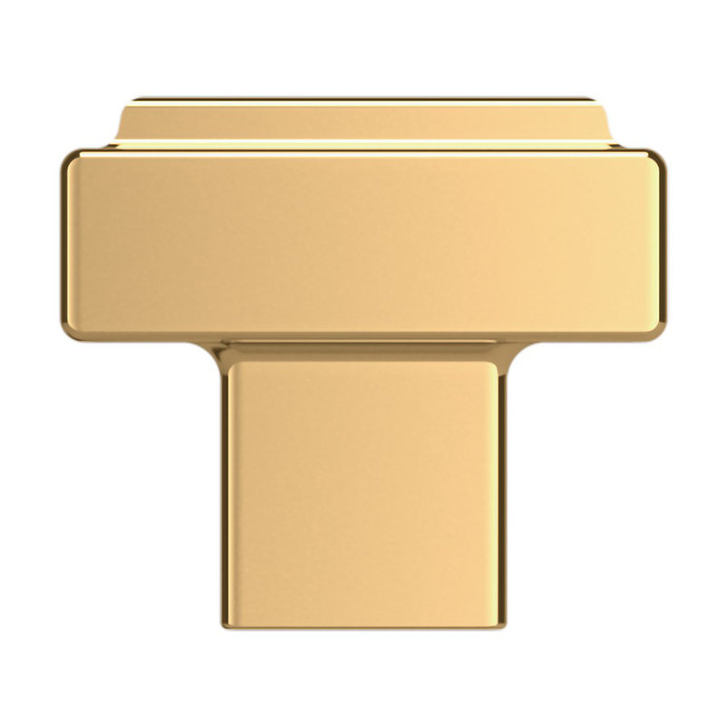 Polished Brass Rectangular Cabinet Knob with Mounting Hardware
