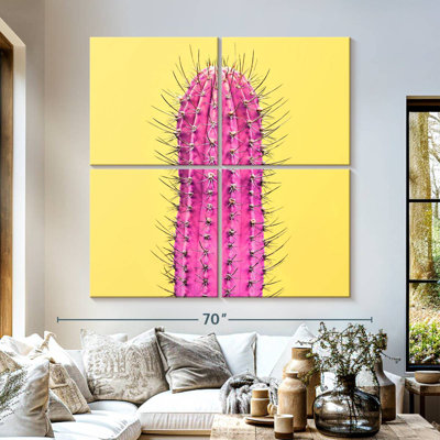 Spiny Pink Cactus