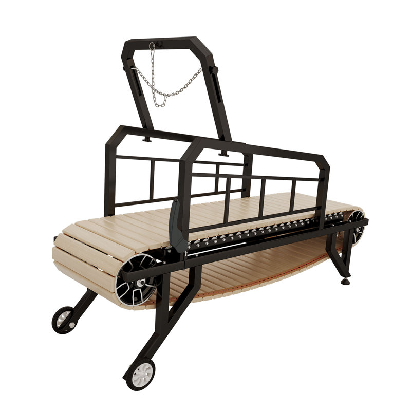 Tapis roulant pour chien avec frein à main - Supporte les chiens jusqu'à 300 lb, L 19 po