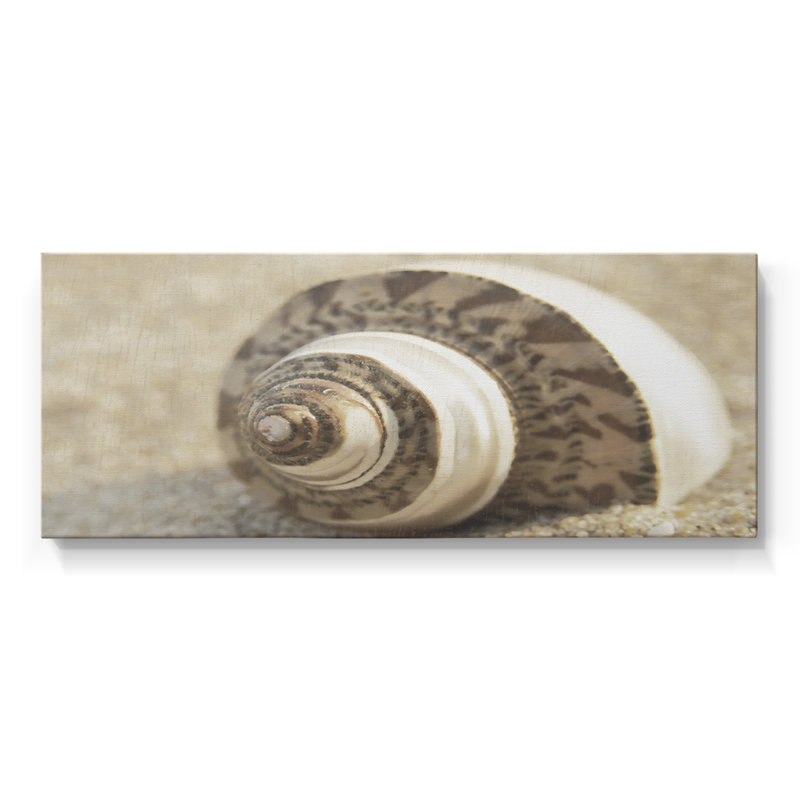 Calming Shell II - Toile tendue avec châssis - Prêt à accrocher, H 16 po x l 40 po