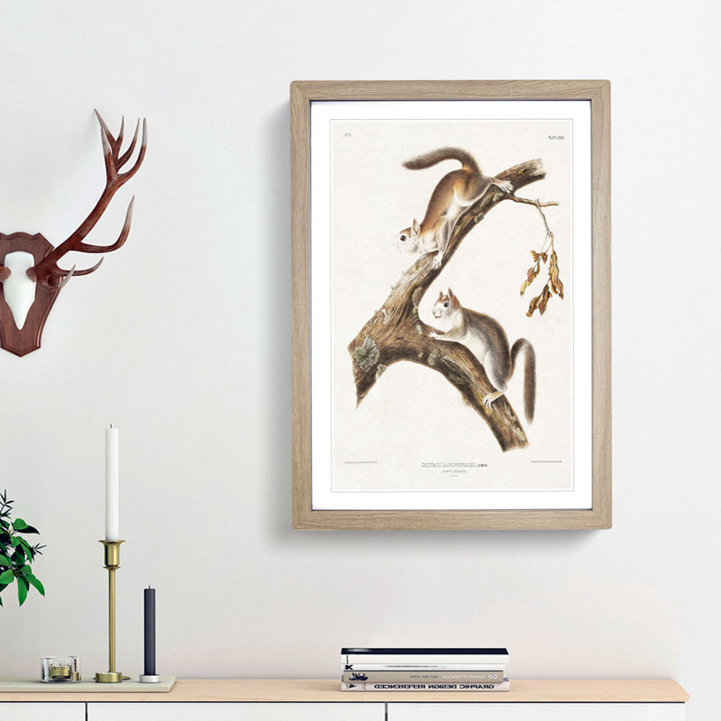 Downy Squirrels by J.W. Audubon - Picture Frame Painting Print, 36cm H x 27cm W x 2cm D, Oak Framed