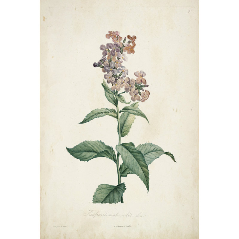 Botanique traditionnel II, H 48 po x l 32 po x P 1,25 po