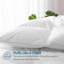 Édredon en duvet d'oie toutes saisons 750 pi, insert de couette Hotel Collection-210903468