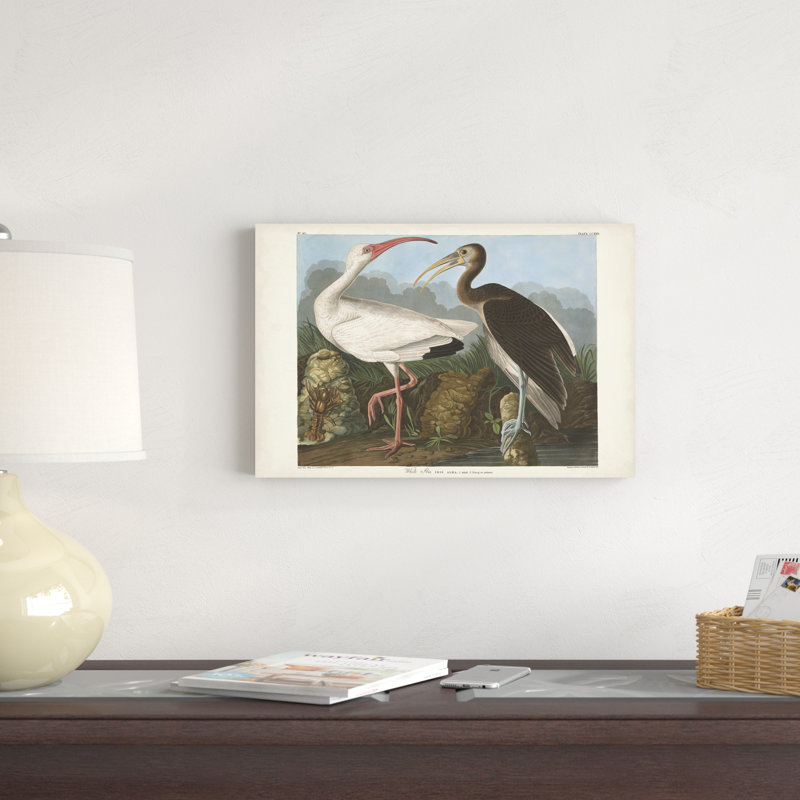 Pl 222, ibis blanc, H 12 po x l 18 po, Noir/brun/blanc