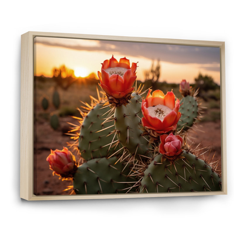 Champ de cactus rouge et vert avec coucher de soleil II - impression, H 30 po x l 40 po x P 1,5 po, Cadre naturel flottant