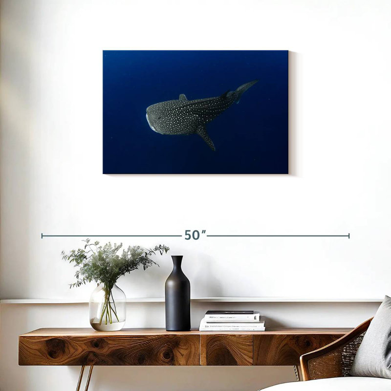 Requin-baleine Brampt dans une eau d'un bleu profond